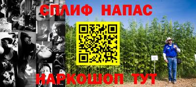 прущие крисы Аргун