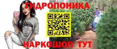 гидра Канаш