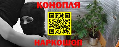 прущие крисы Апшеронск