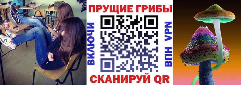 наркота сайты даркнета состав Псилоцибиновые грибы GOLDEN TEACHER Ессентуки