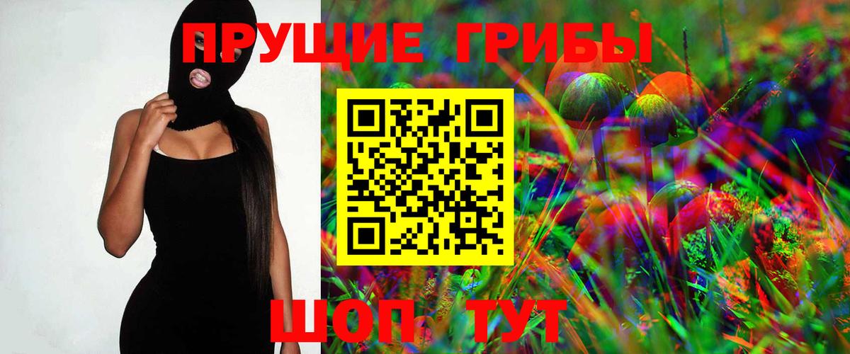 Галлюциногенные грибы Psilocybe  Галлюциногенные грибы MAGIC MUSHROOMS  где продают наркотики  Ессентуки 