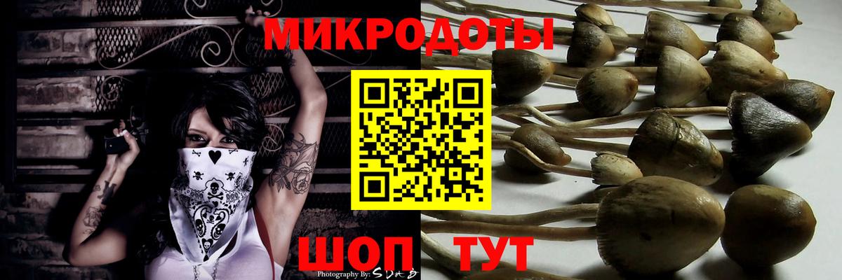 Галлюциногенные грибы Psilocybine cubensis  купить наркоту  Ессентуки  Вход с VPN 