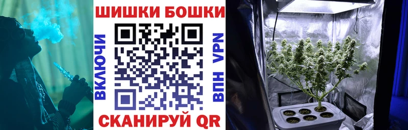 Бошки Шишки ГИДРОПОН  наркотики  Ессентуки 